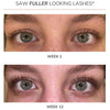 LASH BUILDER SERUM